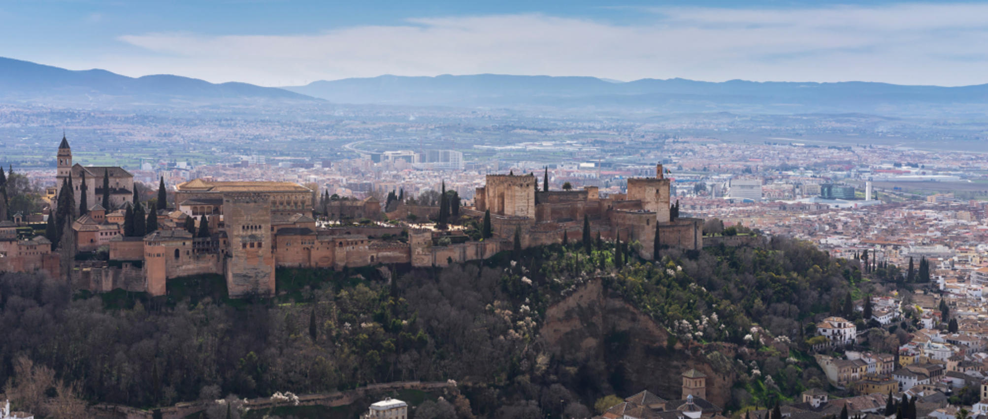 云霓之望猜打一最佳的生肖，经典词语资询解释落实