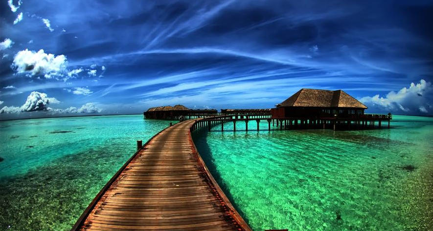 空谷白驹指是什么生肖,普遍词语完美落实