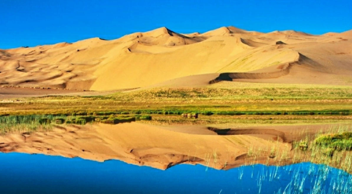 “清远鸡，青菜一份”是指什么生肖  答案解析落地落实