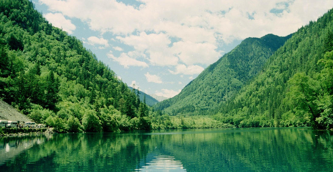 昏定晨省指什么生肖,最准确诗句解析 详细解答落实