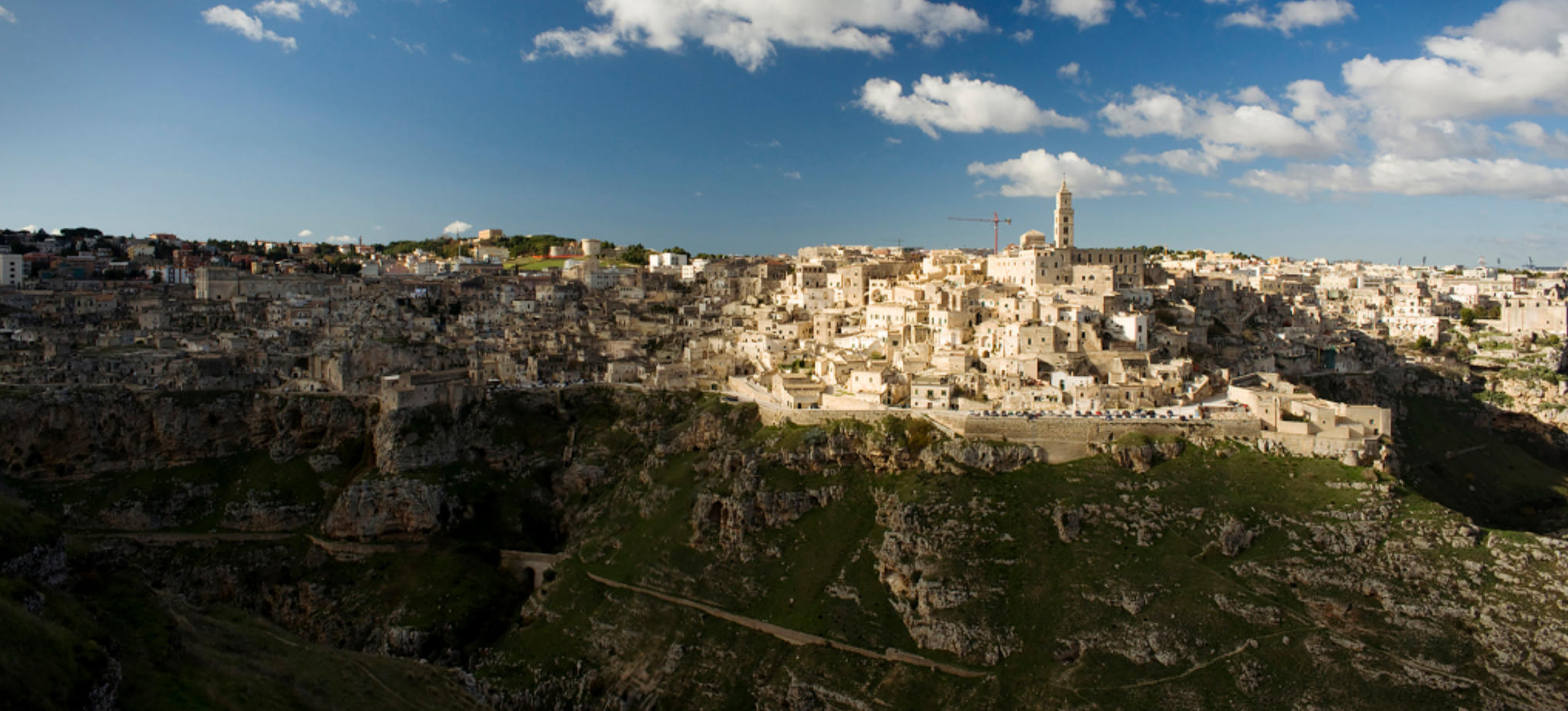 今期鸡猴蛇出特,花木虽在人恻然是猜什么生肖,词语解释最佳分析