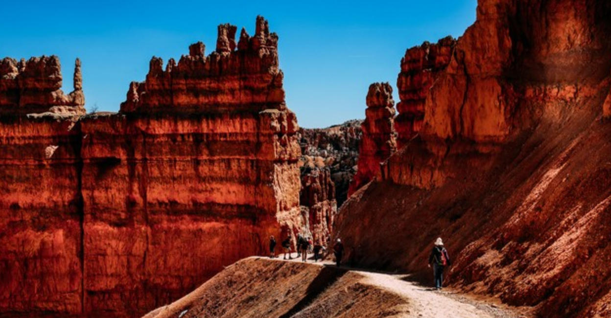 绿蓝两波送特马,重卡八关心中爱是打一精准生肖 成语释义甄选实践