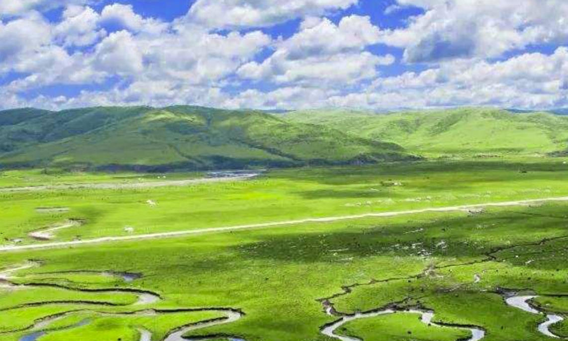 轻盈灵动，挑战自我。云何相遇酒边时是指什么生肖，作答词语解释梳理