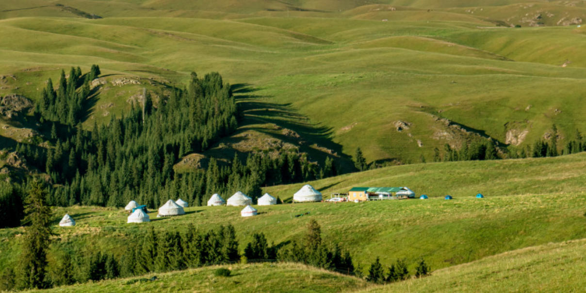 志坚行苦是什么生肖  准确解读词语释义