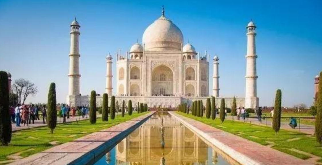 押押犯上台兔子不吃窝边草指代表什么生肖，最佳正确生肖 词语落实释义解释