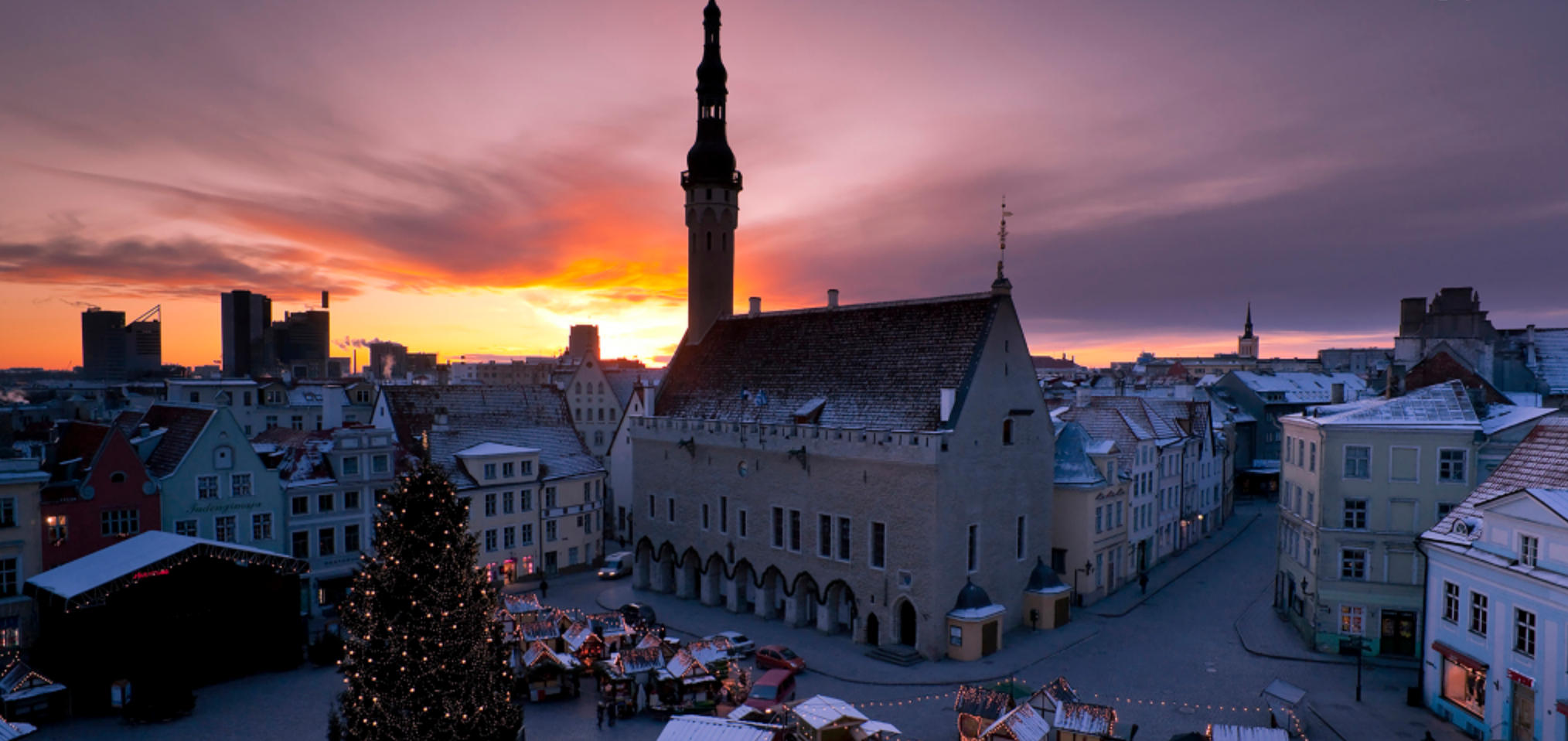 艺高胆大猜打最佳指什么生肖,精简词语释义作答