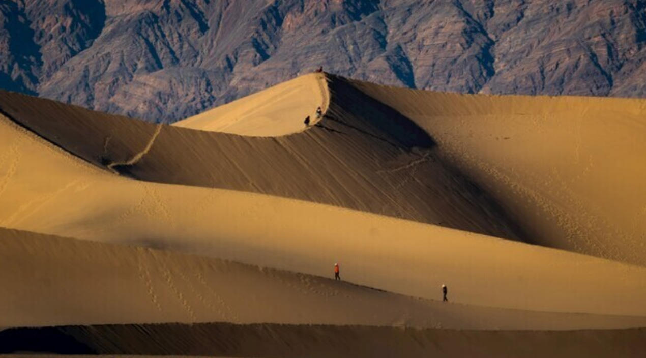 老罴当道指代表是打指指一最准确哪个生肖  最佳词语完美精选释义