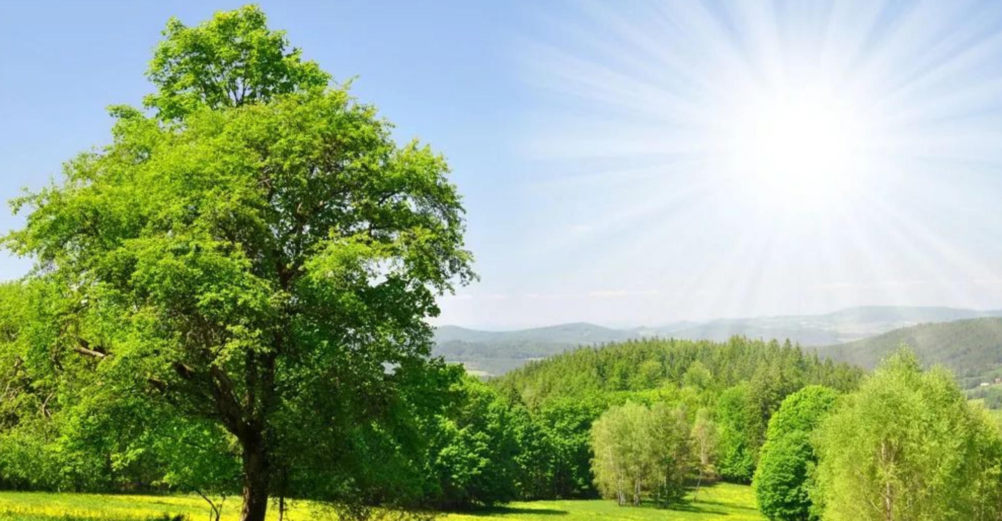 独与江邻水拍浮打一最佳生肖，精选词语释义解释