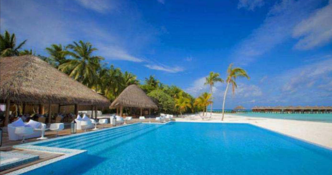 眉飞色舞代表指什么生肖，热门词语解释落实