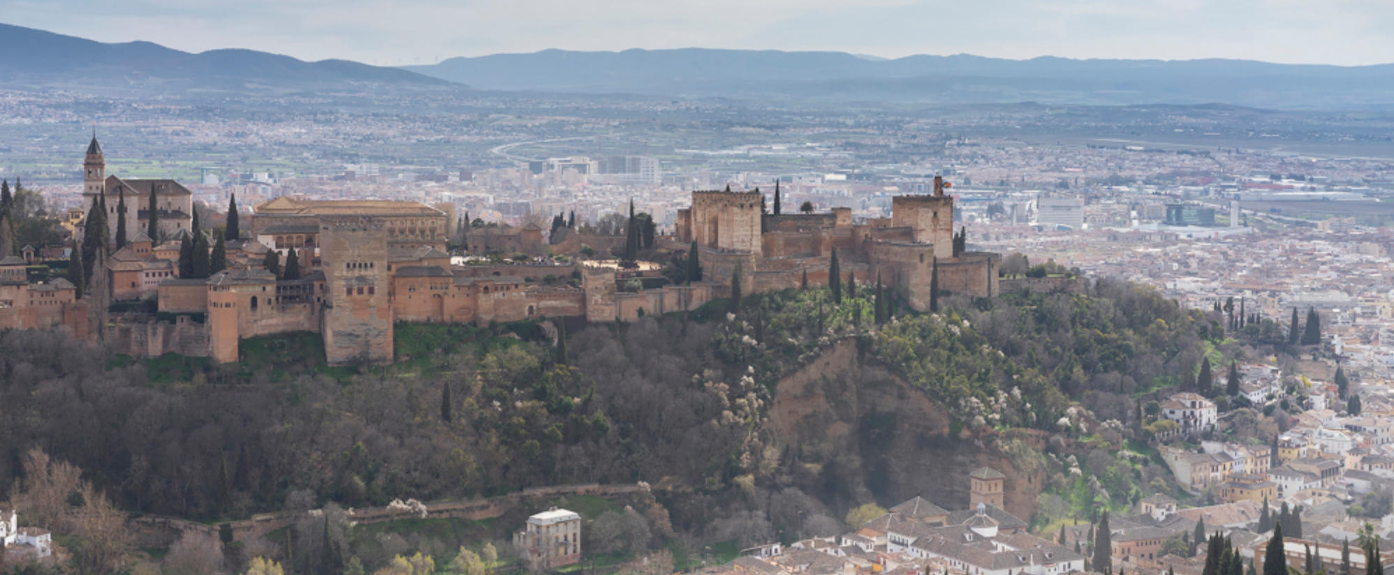 “玳瑁头簪白角冠”是指什么生肖,精粹词汇注解与探析 精准释义成语解释释