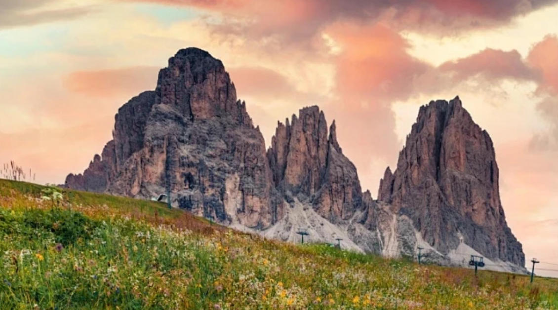 轻盈灵动，挑战自我。云何相遇酒边时是解一什么生肖；解释作答落实解答