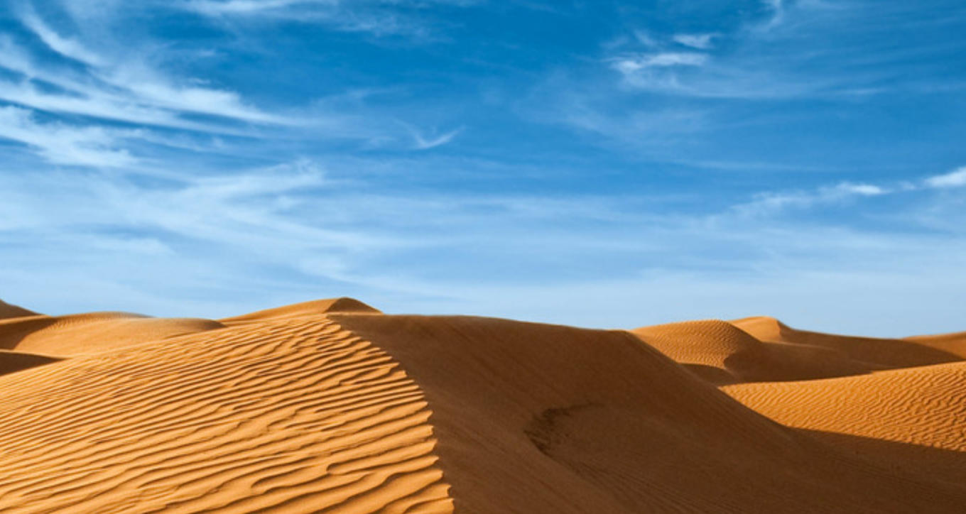 “杳如黄鹤”指代表是打一最佳精准哪个生肖数字动物  猜解一最佳词语解释释义