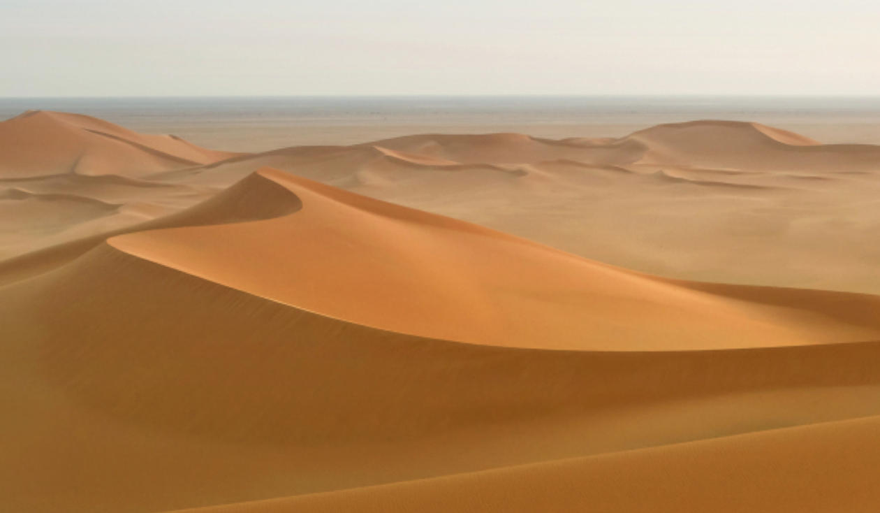 长四寸掐中即中摆尾的生肖是指什么生肖  最佳解释释义答案