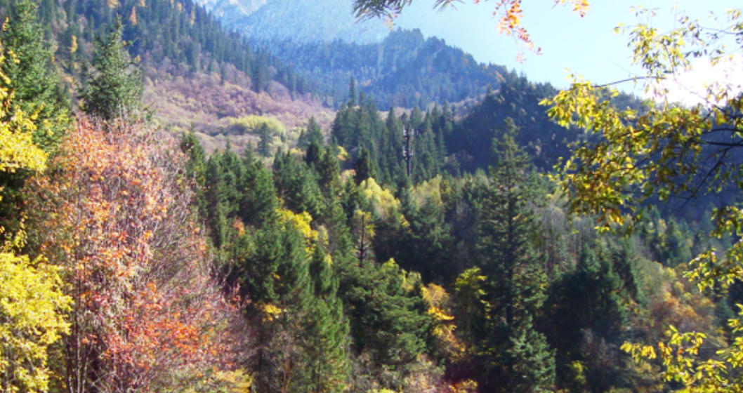 见异思迁是什么生肖 经典词语释义解释 精选词语释义落实解答