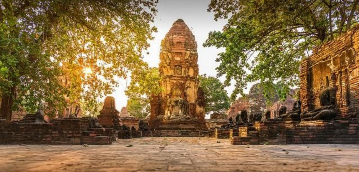 挹彼注兹是指什么生肖  词语摘抄加解释