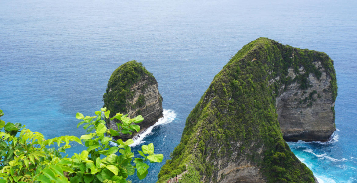 词语作答解释:要将尧舜致君王,人言柳叶似愁眉  精选释义最佳生肖成语解释分析