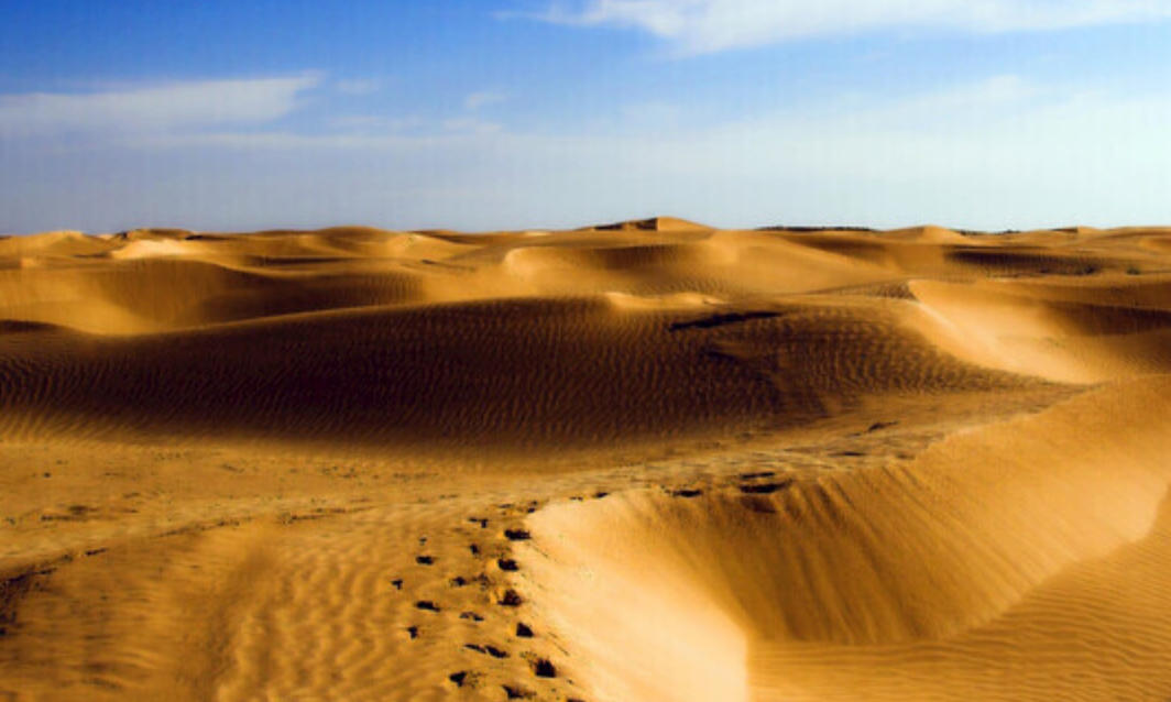 “欲钱看水仙不开花”打一最佳准确生肖  词语含义阐述答解