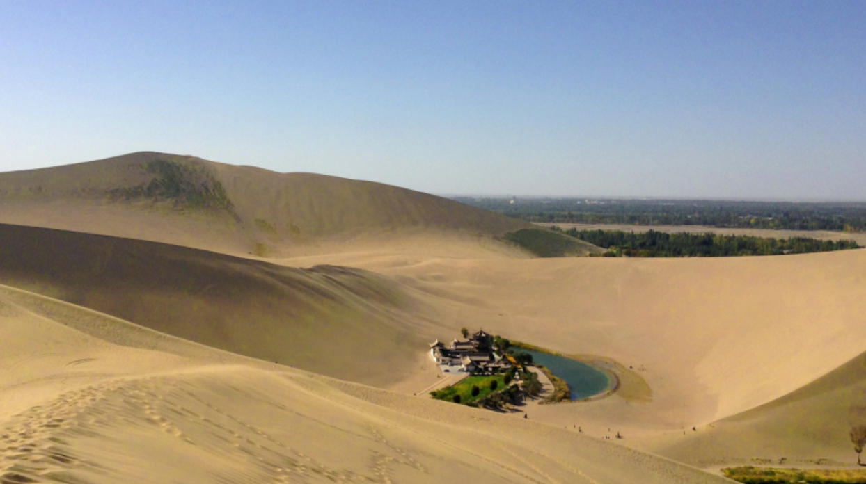 未曾得向行人道，叛国投敌祸社程是打一什么生肖，精选落实解释