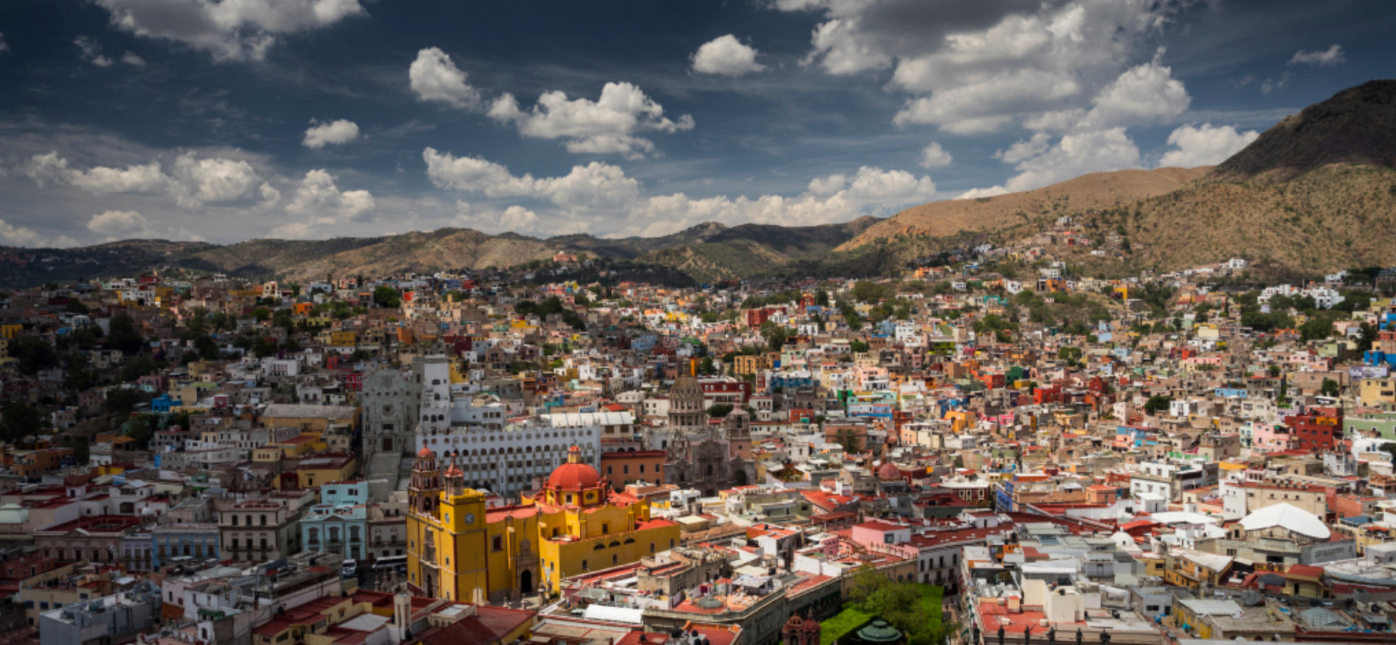 二前惆怅十牡丹， 三六晚来二九残指最佳准确解哪个生肖是什么  词语精选答案解释义