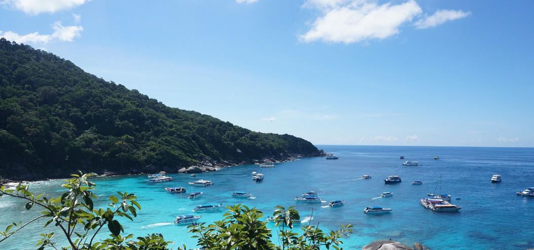 夜深风雪古城空指是什么生肖，词语解释重点解