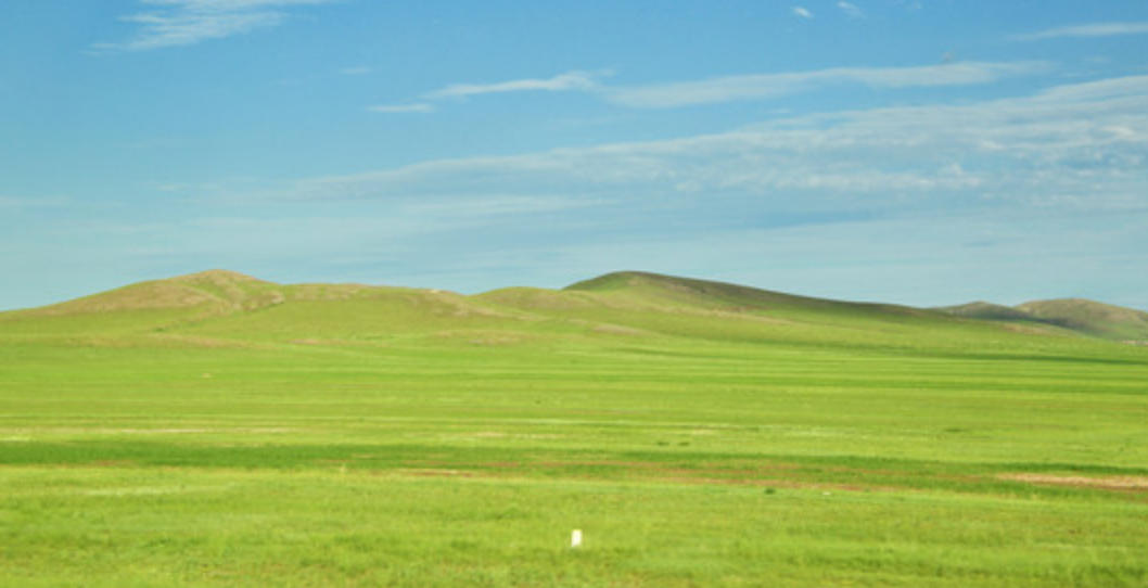 一波中特不夸张，是七是八任君选指的是什么生肖 答案成语释义解释