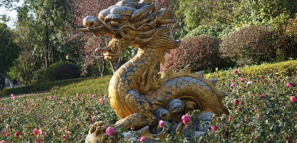 正人君子打猜一最佳的生肖，解释释义落实词语