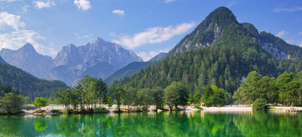 鱼传尺素是指代表什么生肖，最佳准确生肖  经典释义词语解释