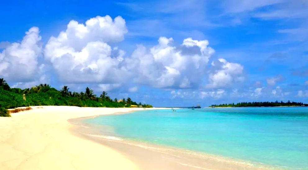 “走街串巷”猜打一最佳准确生肖，最新解答揭晓落实