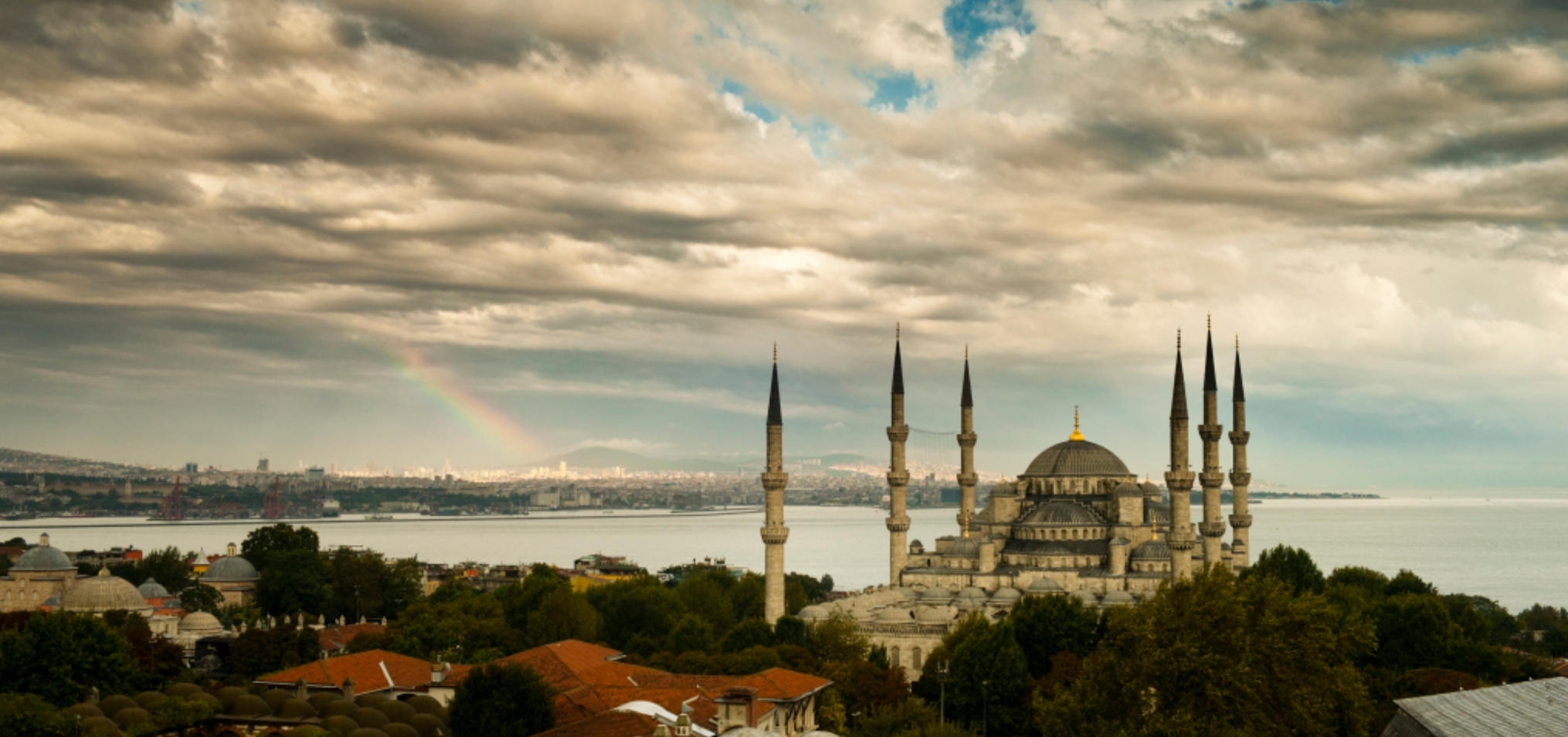 断瓦残垣是指什么生肖，释义解释全面落实