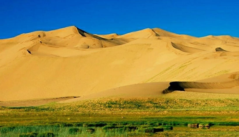 蛛丝马迹是指打一准确精准生肖,释义最佳成语解释!