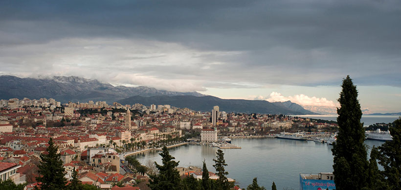 开基立业猜打一最佳准确生肖数字动物  解析独家哪一个词语精选解释释义