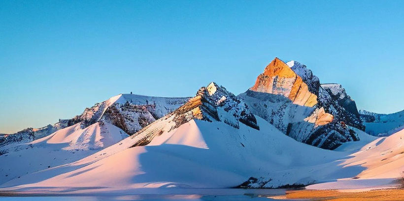 刃迎缕解打一生肖最佳准确词语,独家释义词语完美阐述