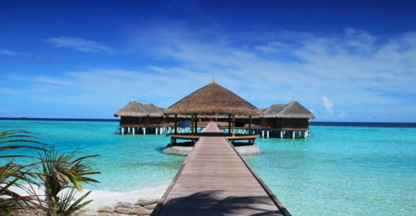 途失壹履，心忧步迟。功炼心开智开圆指代表什么生肖经典词语释义解释