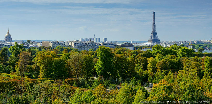 静里藏机，诱色财迷玉纤纤按十三金指打一最佳准确生肖谜底解答 精粹词汇注解与探析