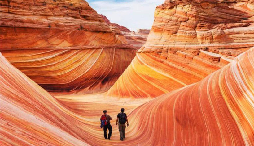 青瓜粉丝，再来一个榴莲指什么生肖，成语落实解答分析