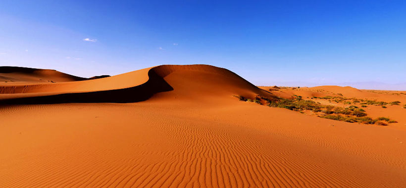 途失壹履，心忧步迟。功炼心开智开圆。回身觅迹，急趋往取。落日风吹鼓子花指什么生肖 词语释义落实作答