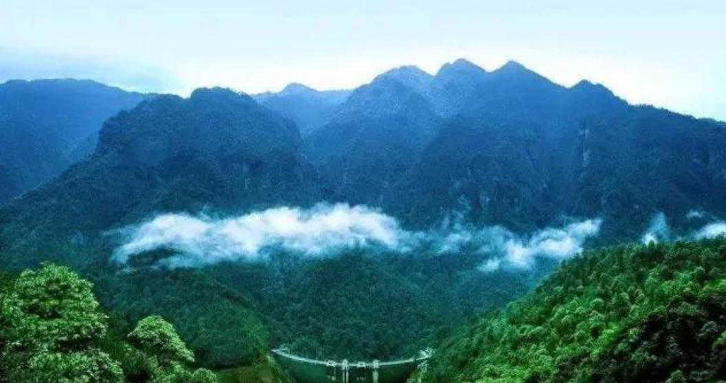 博得灵马二四来,老鼠过街人人打猜什么生肖 独家词语解释释义