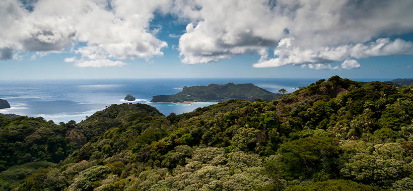 精选谜底作答:凡尘琐事无时尽 身入空门由万般甄选生肖最佳成语解释