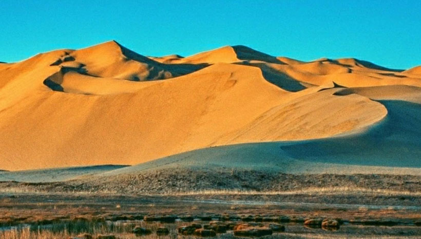 顶天立地是指的哪一种生肖？指解释代表一个准确生肖 最佳精选释义词语解释