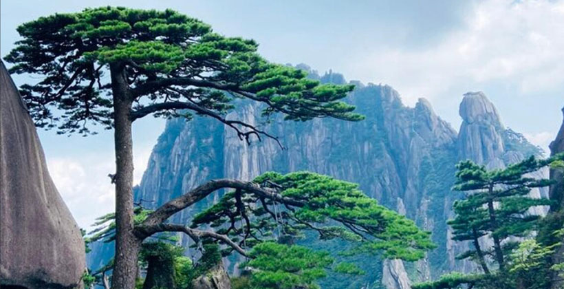 精选甄选作答解析“枕戈待旦”代表什么生肖？释义词语重点准确完美解析