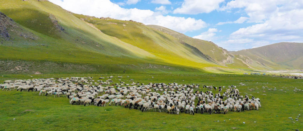 褒衣博带指什么生肖，猜解一最佳成语释义解释