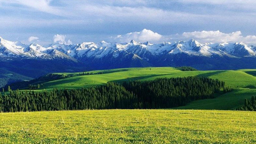 鸟飞天外斜阳尽，吹过云山第几重是什么生肖，答案成语释义解释