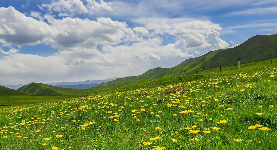 觅句当秋山落叶,此地依前泥苦吟猜指是什么生肖 标准解析词语落实