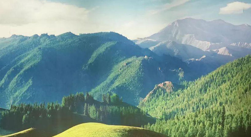 新，（二七）老牛来出特。一句猜：好逸不劳的生肖。提供：猪打一最佳最佳生肖,独家释义词语