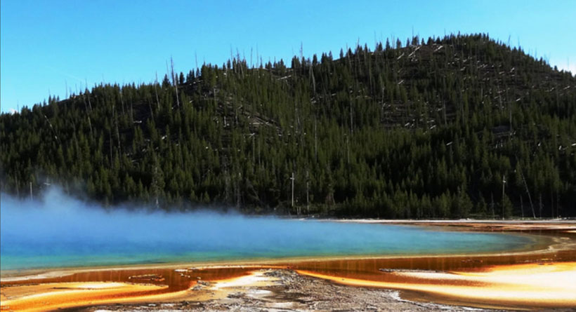 昏天黑地代表是指什么生肖，最佳释义解析成语