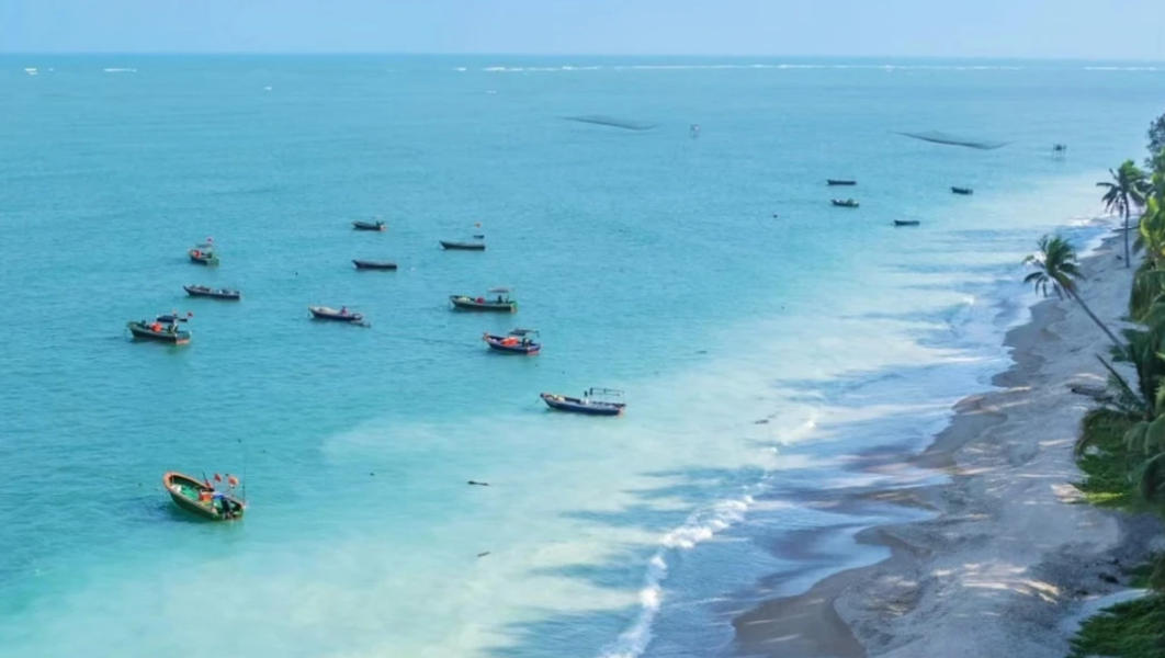 入主出奴解读代表指是最佳哪个生肖  优先谜语剖析解释