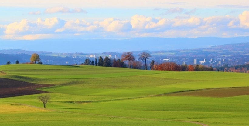 回飞慢舞忽变急（冰炭不投）是打一最准确生肖、词语落实释义解释