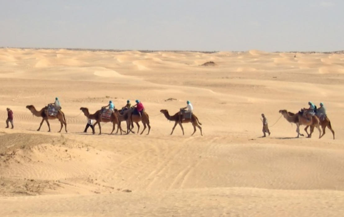 经典释义词语：“浅寒春尽飞红晚”意指哪一最佳正确生肖 专属词语释义解释