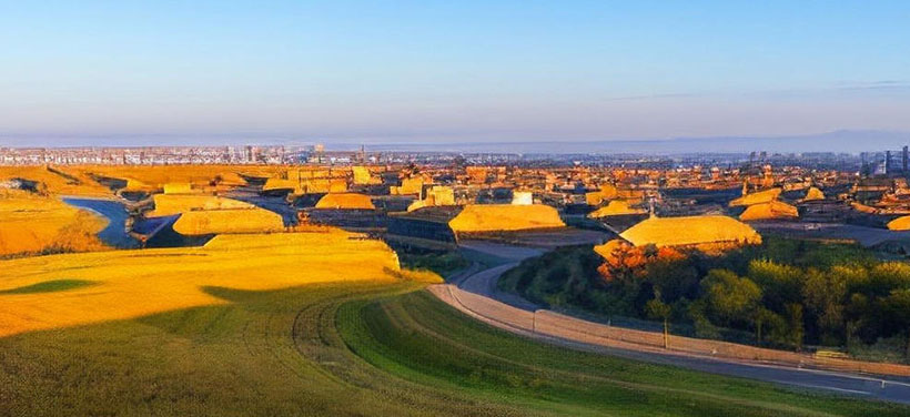 拔十得五打一生肖；解释作答落实解答