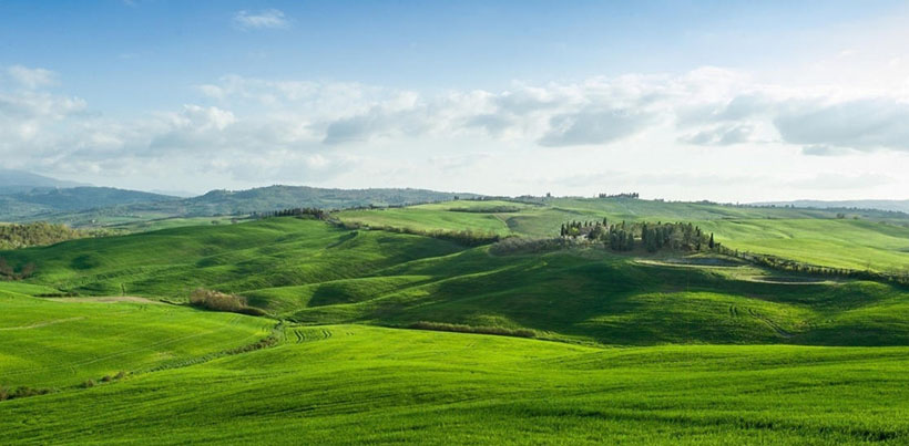 词语答案解析“擿埴索涂”代表是什么生肖 释义词语重点准确完美解析